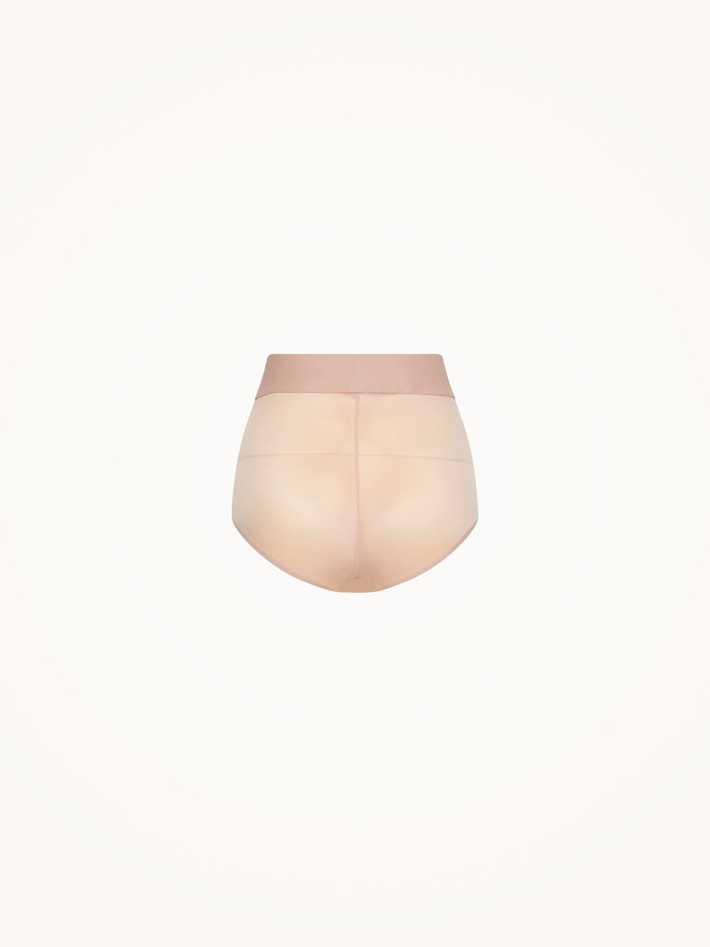 Sheer Touch Control Panty