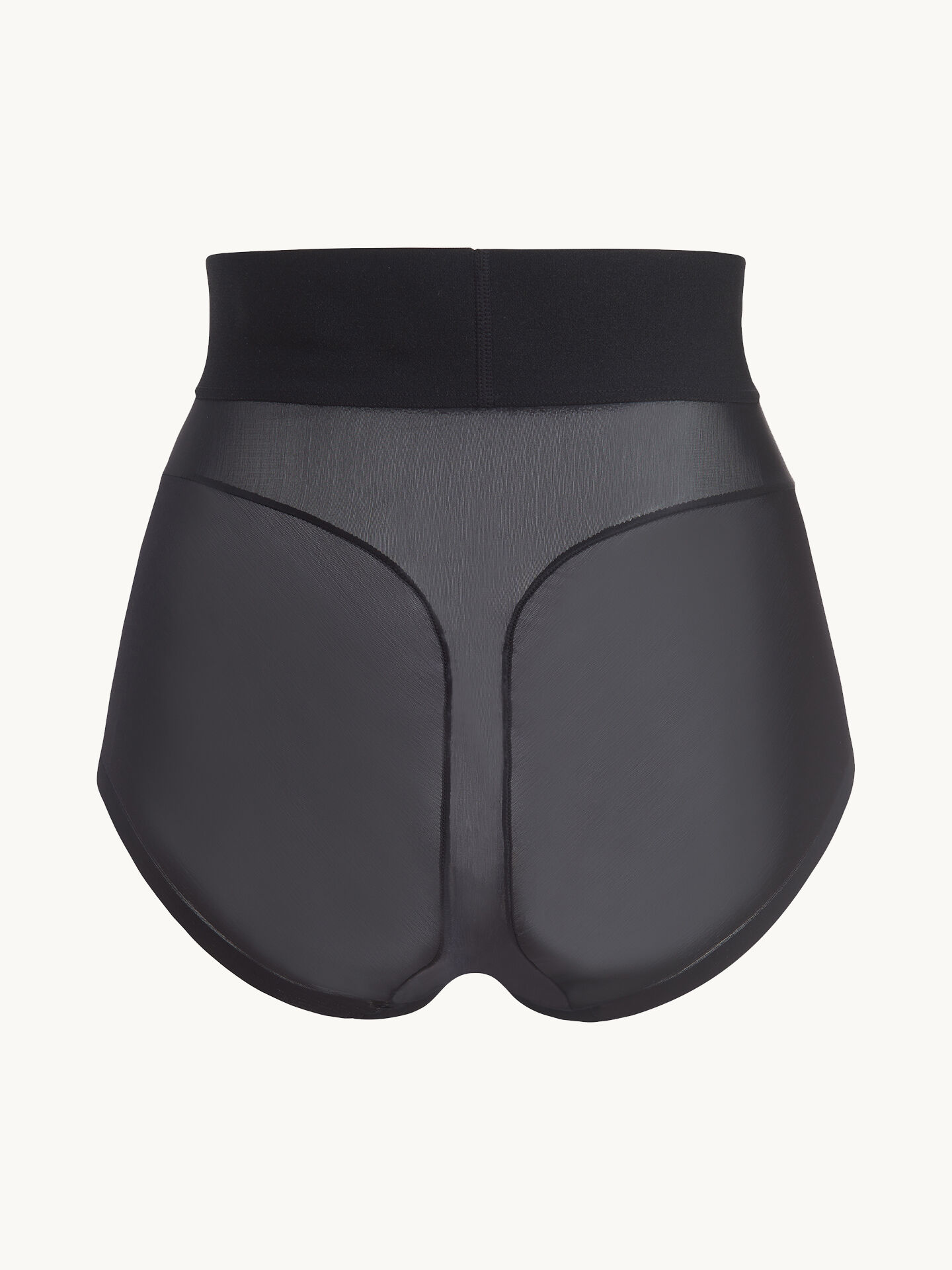 Sheer T. Curve Enhancing Brief Sheer T. Curve Enhancing Brief