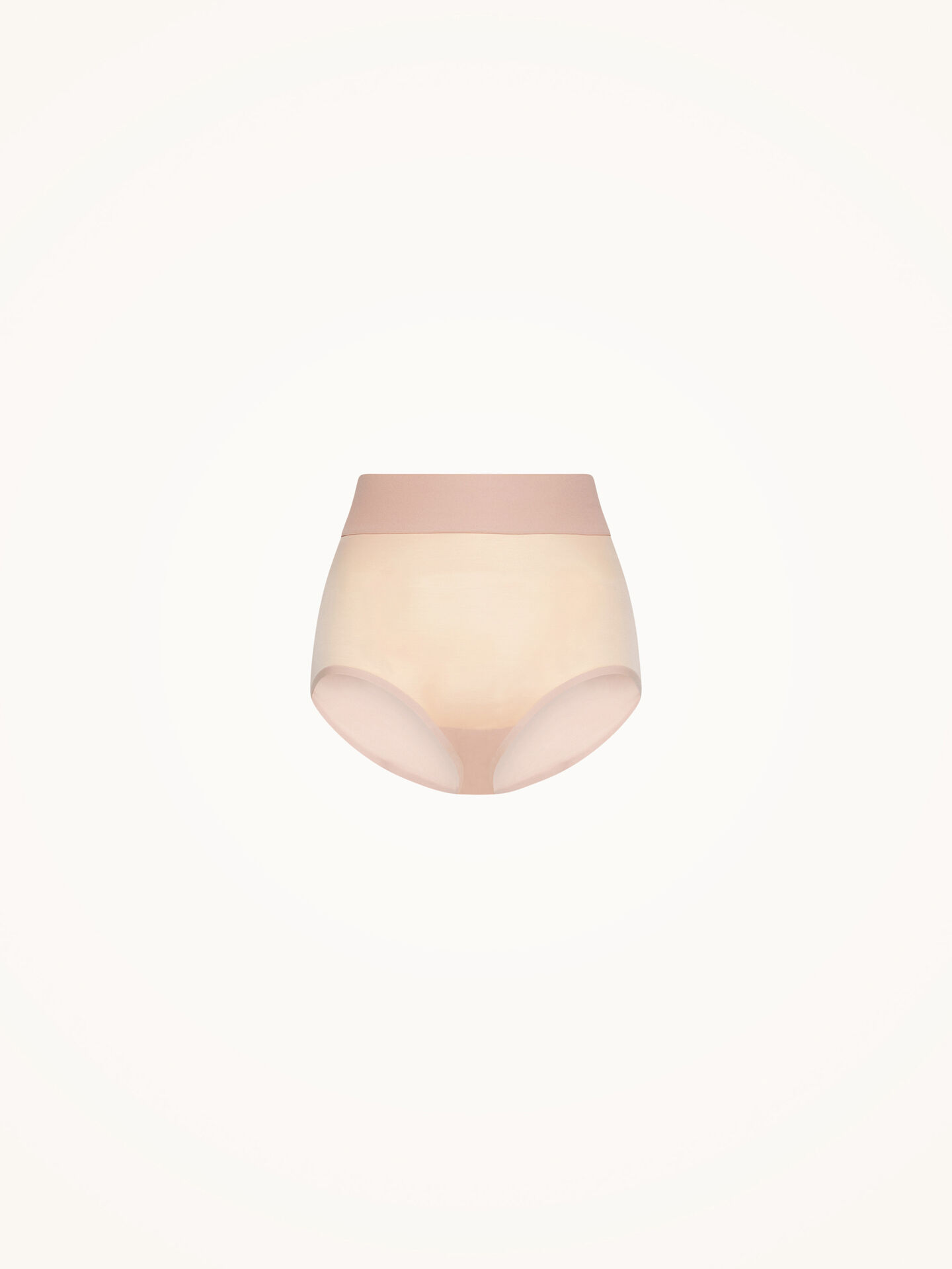 Sheer Touch Control Panty