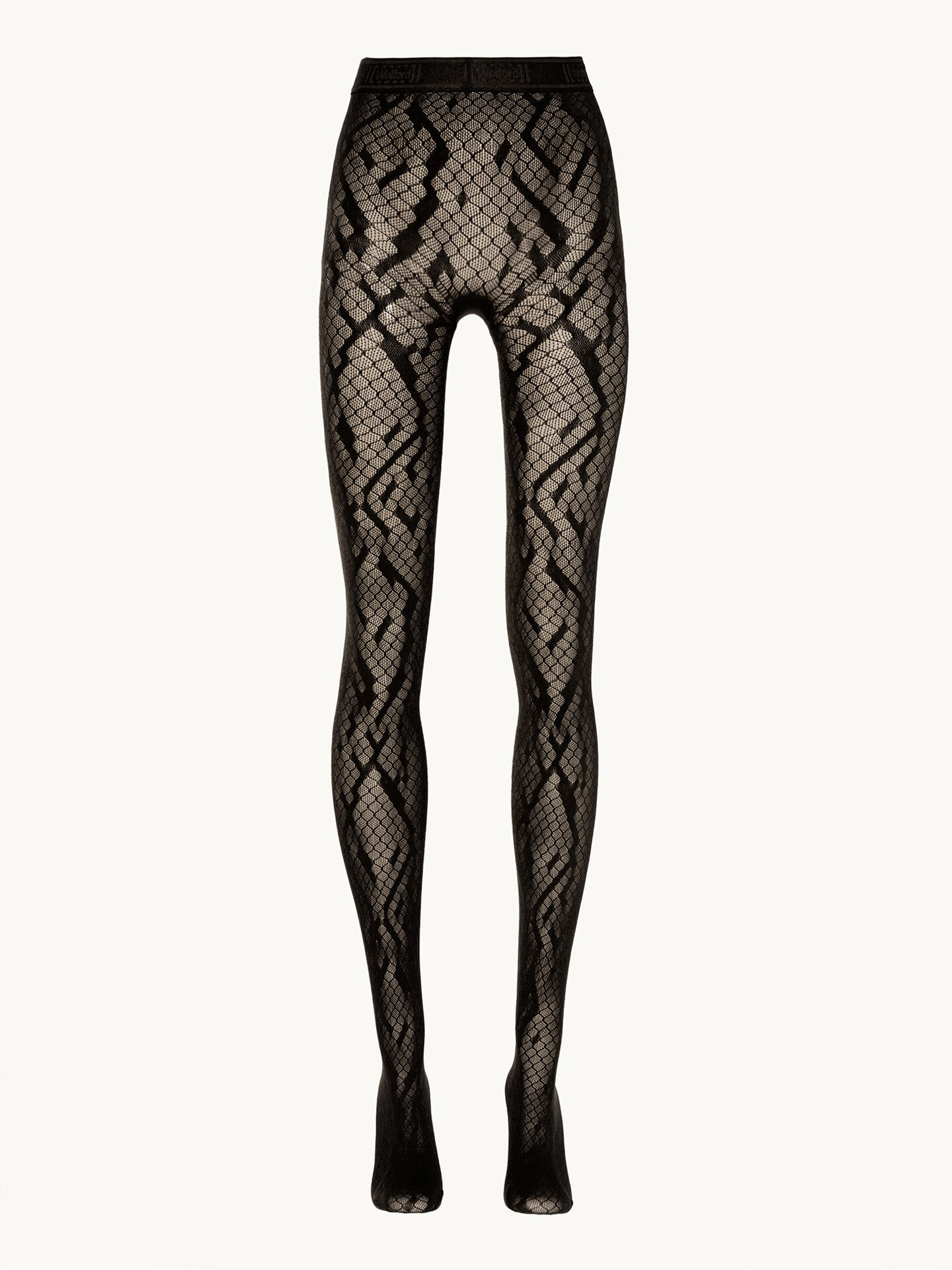 PYTHON NET