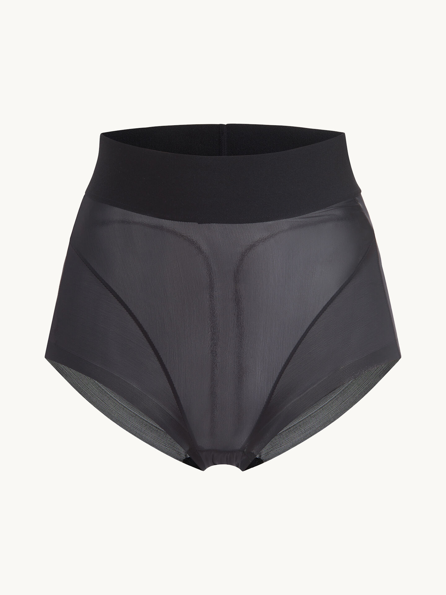 Sheer T. Curve Enhancing Brief Sheer T. Curve Enhancing Brief