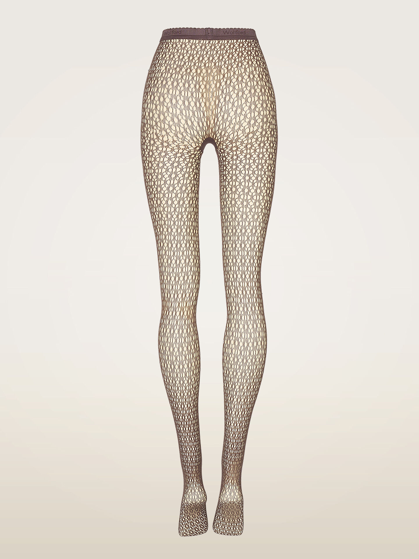 Daisy Net